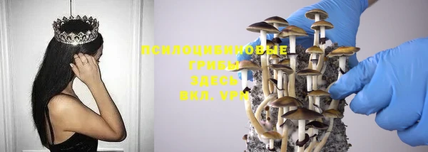 дживик Лихославль