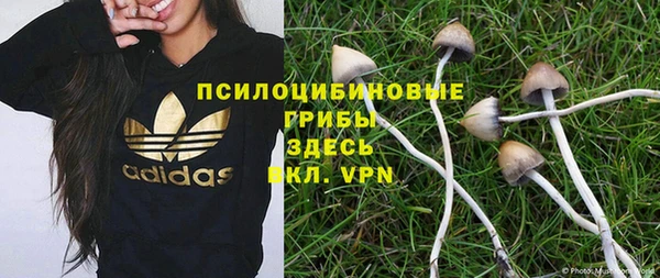 кокс Магас