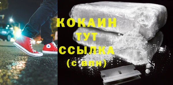 гидра Липки