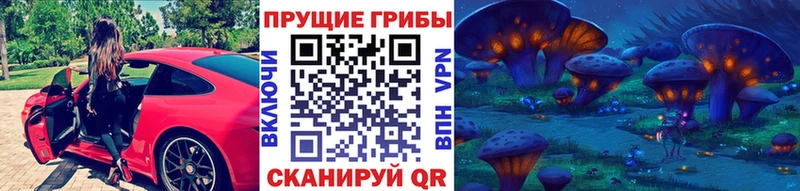 Галлюциногенные грибы прущие грибы  Медынь 